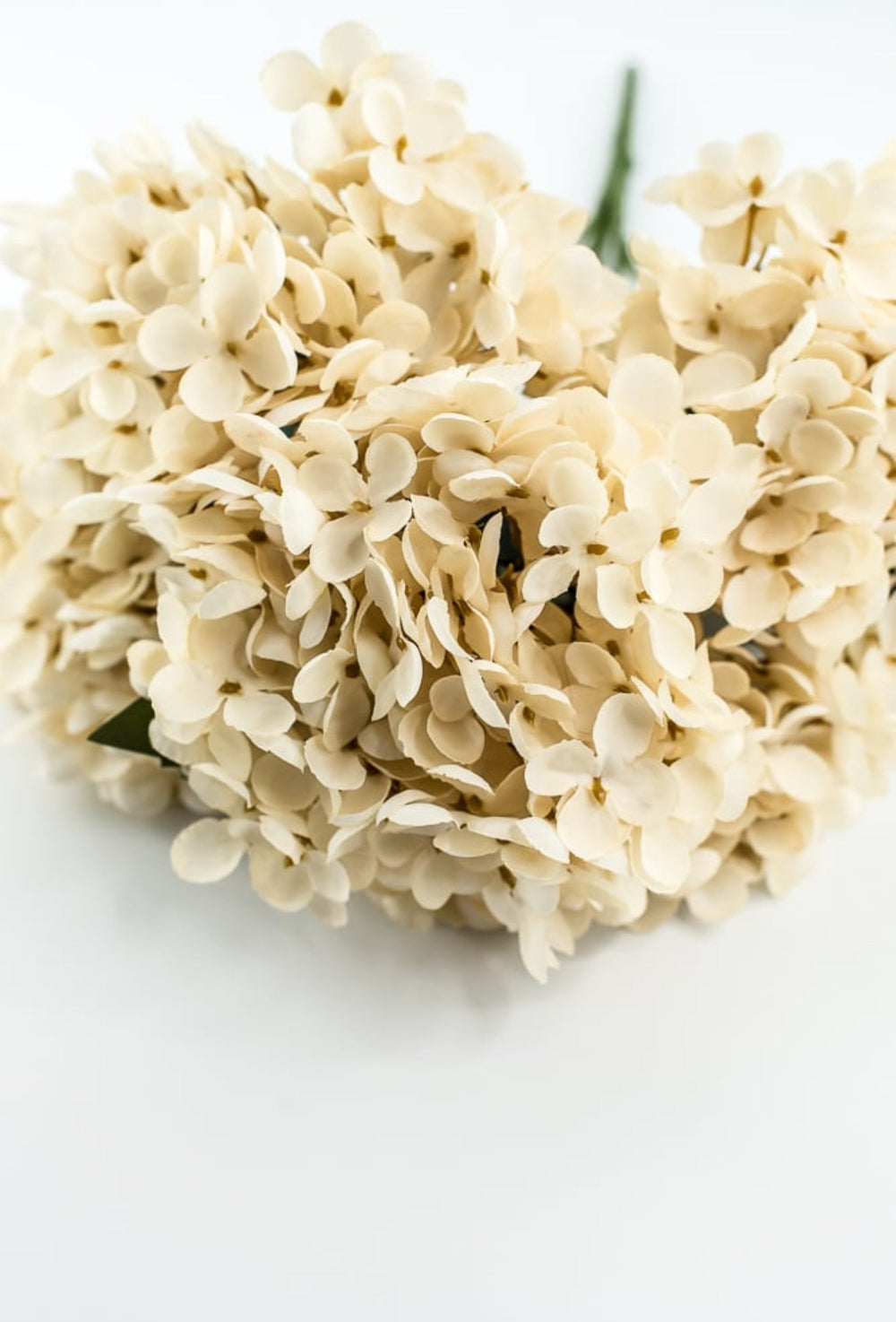 Beige Hydrangea Bush - Greenery Market57328BE