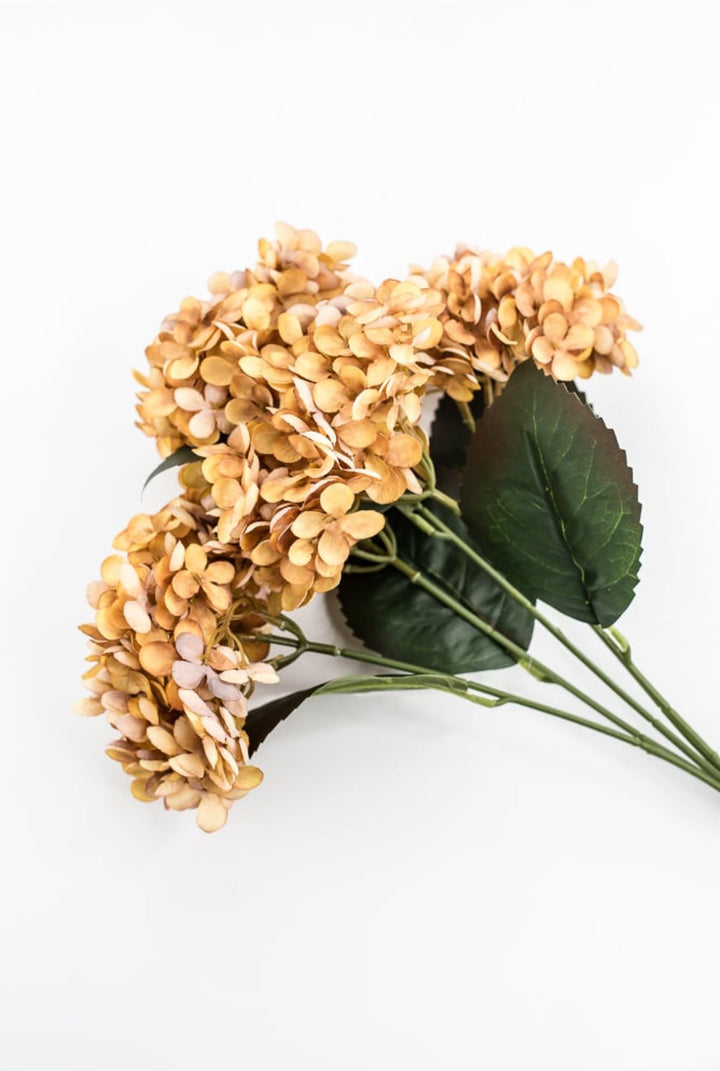 Beige Mustard Hydrangea Bush - Greenery Market57328MUSTARD