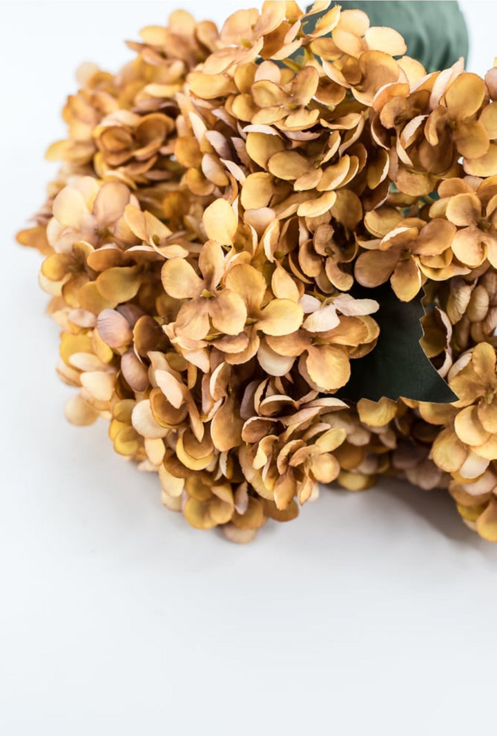 Beige Mustard Hydrangea Bush - Greenery Market57328MUSTARD