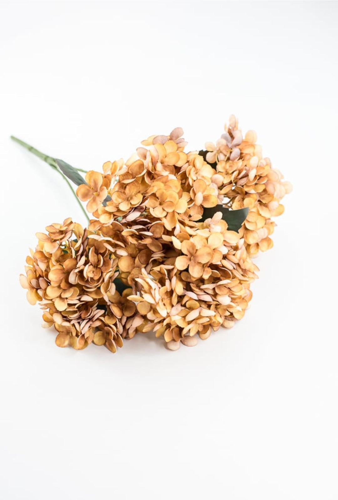 Beige Mustard Hydrangea Bush - Greenery Market57328MUSTARD