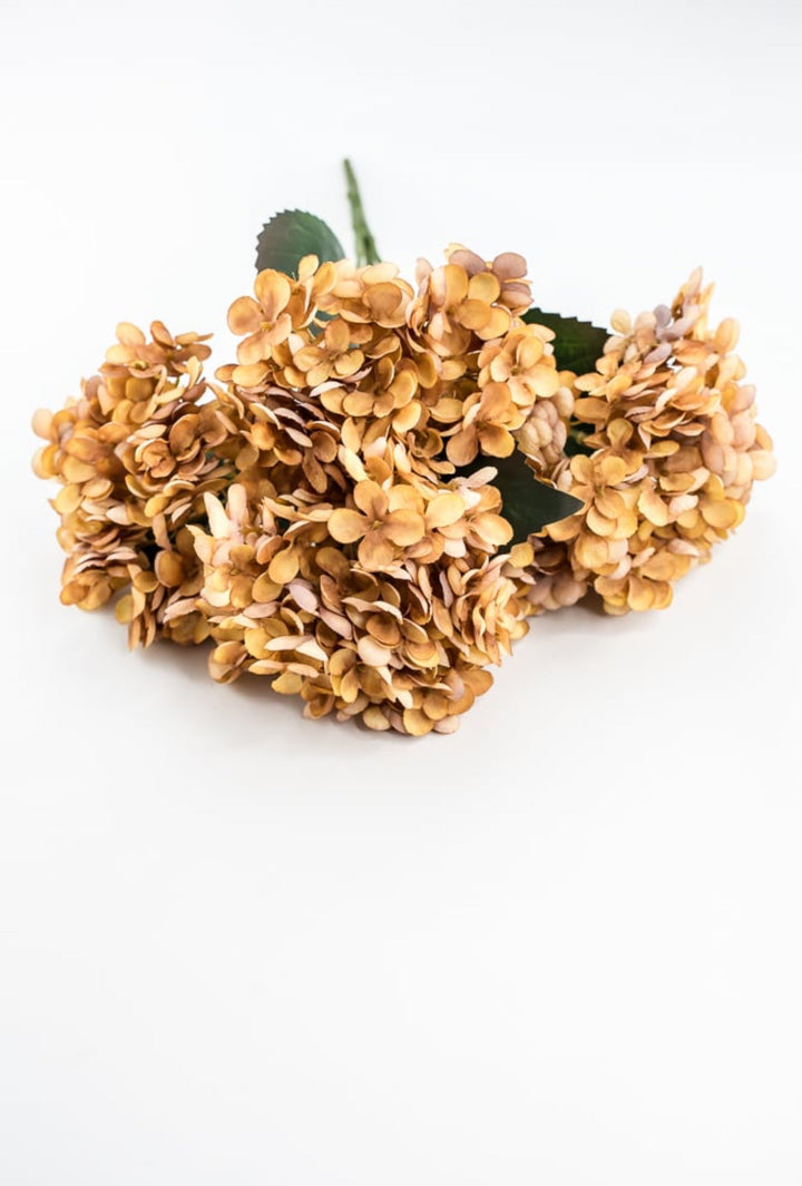 Beige Mustard Hydrangea Bush - Greenery Market57328MUSTARD