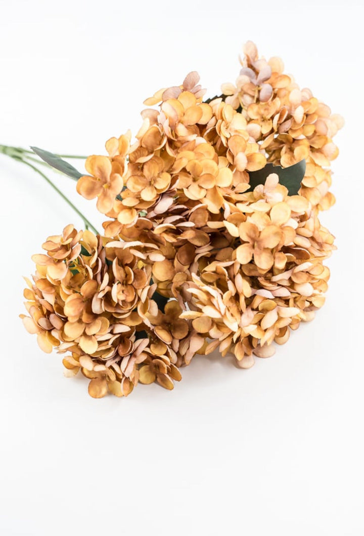 Beige Mustard Hydrangea Bush - Greenery Market57328MUSTARD