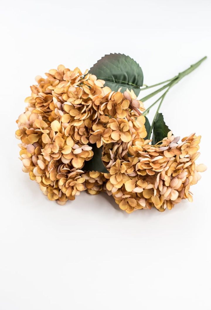 Beige Mustard Hydrangea Bush - Greenery Market57328MUSTARD