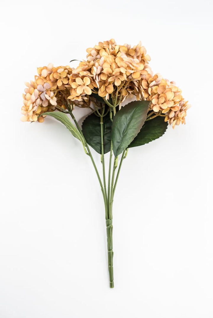 Beige Mustard Hydrangea Bush - Greenery Market57328MUSTARD