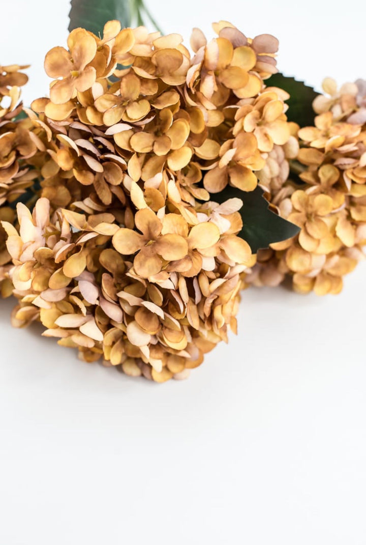 Beige Mustard Hydrangea Bush - Greenery Market57328MUSTARD