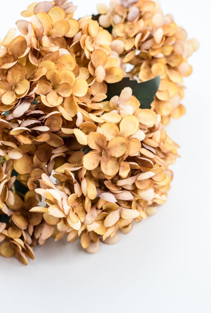 Beige Mustard Hydrangea Bush - Greenery Market57328MUSTARD