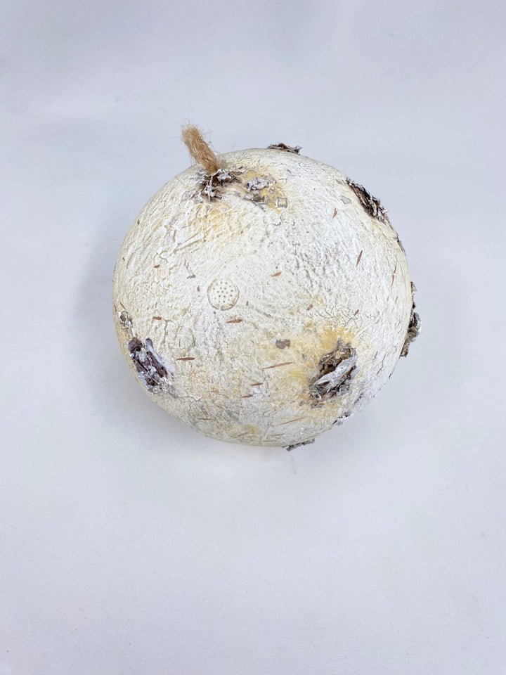 Birch Bark Christmas Ornament 3” - Greenery MarketSeasonal & Holiday Decorations2829128WH