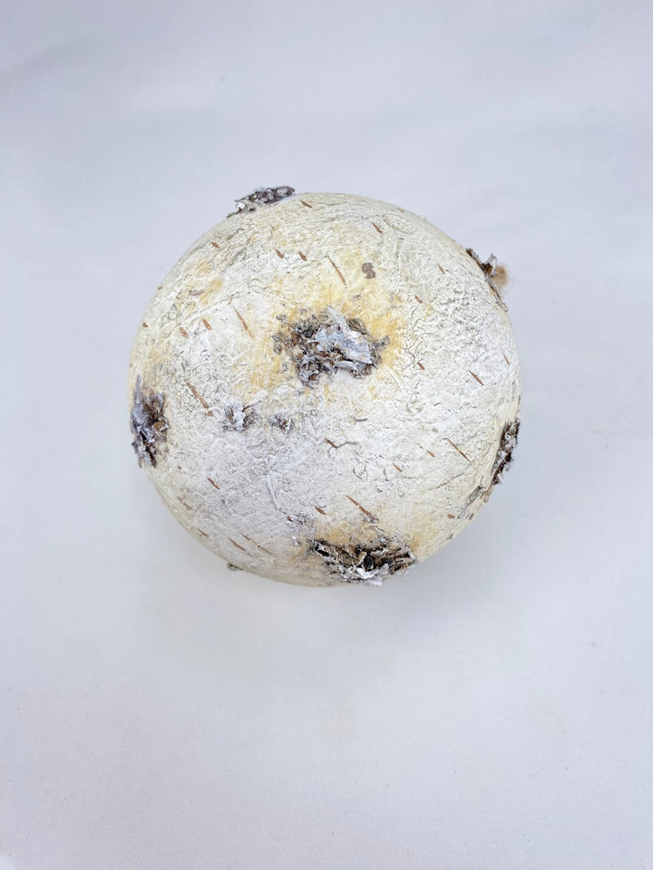 Birch Bark Christmas Ornament 3” - Greenery MarketSeasonal & Holiday Decorations2829128WH