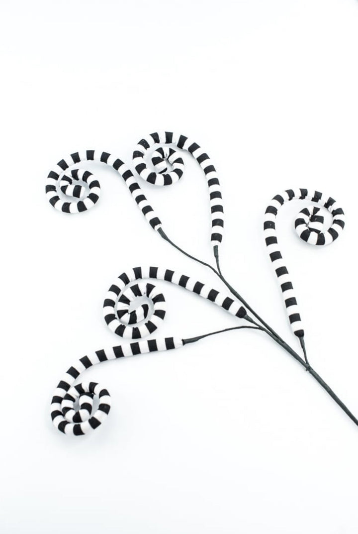 Black And White Striped Curly Spray - Greenery MarketPicks56533BKWT