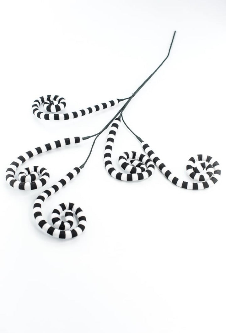 Black And White Striped Curly Spray - Greenery MarketPicks56533BKWT