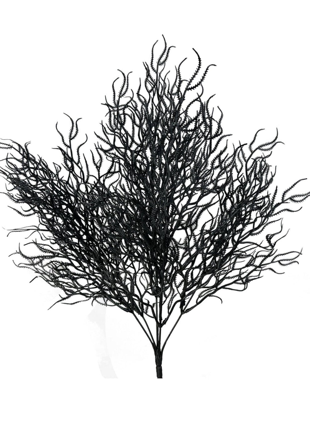 Black Cottonii Seaweed Bush - Greenery Market57097BK