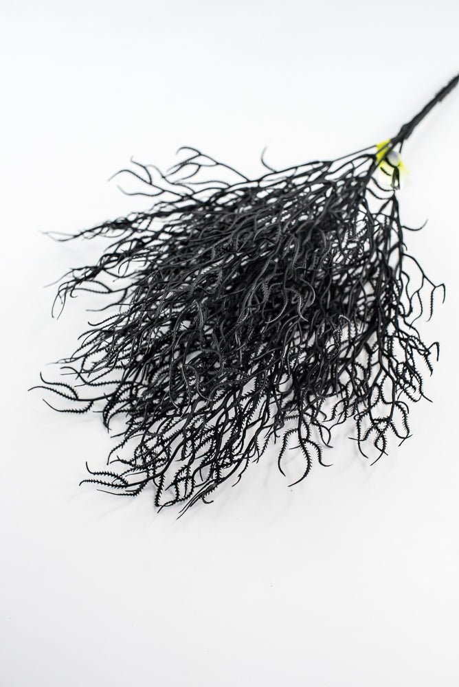 Black Cottonii Seaweed Bush - Greenery Market57097BK