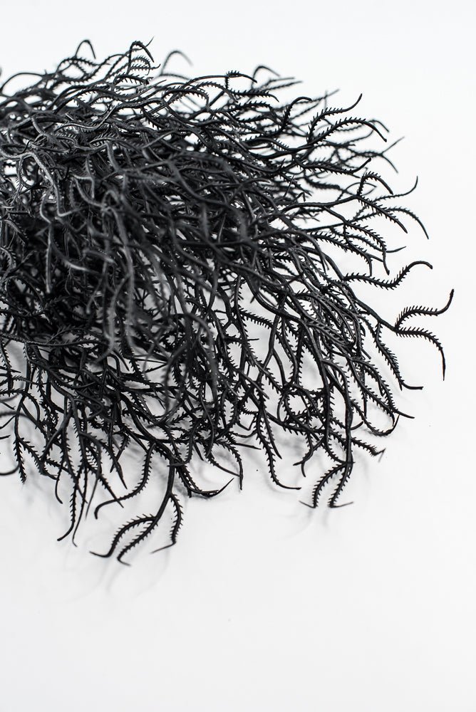 Black Cottonii Seaweed Bush - Greenery Market57097BK