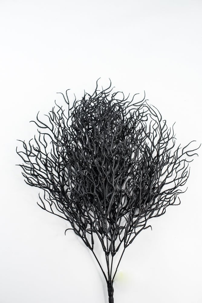 Black Cottonii Seaweed Bush - Greenery Market57097BK