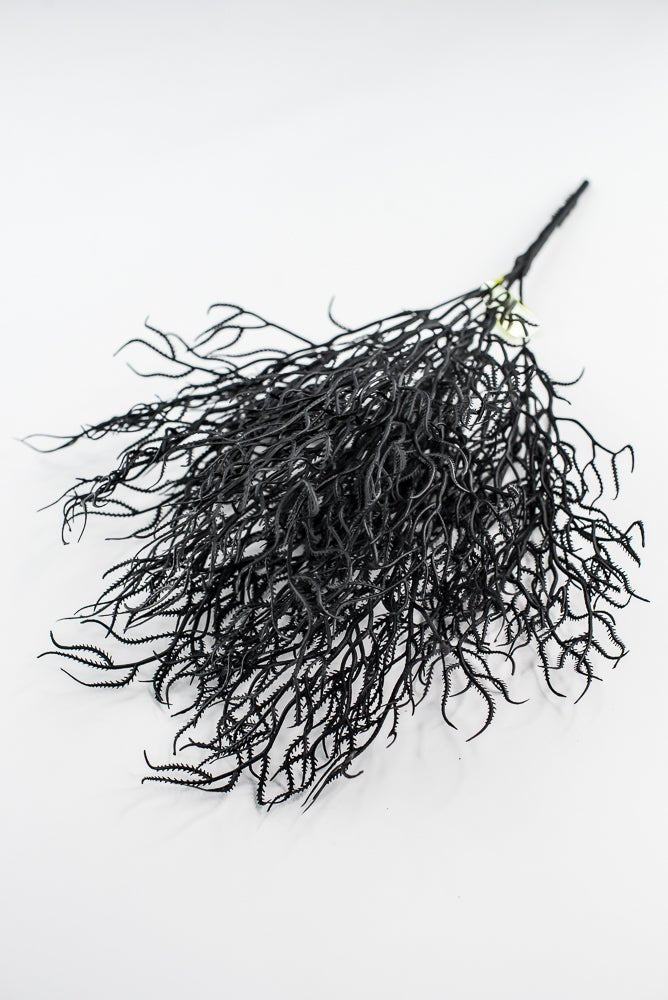 Black Cottonii Seaweed Bush - Greenery Market57097BK