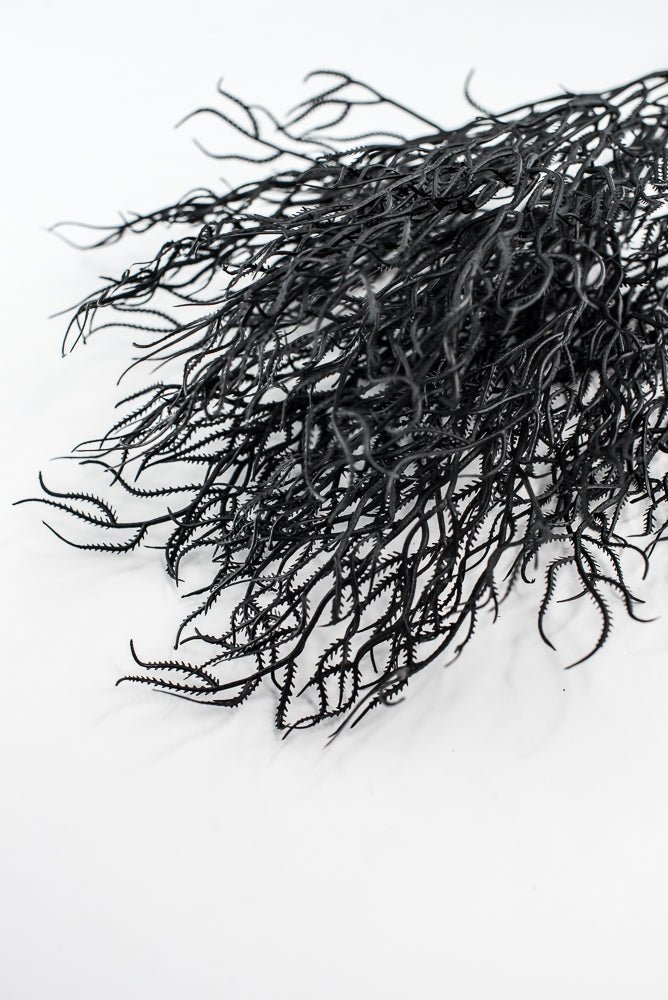 Black Cottonii Seaweed Bush - Greenery Market57097BK