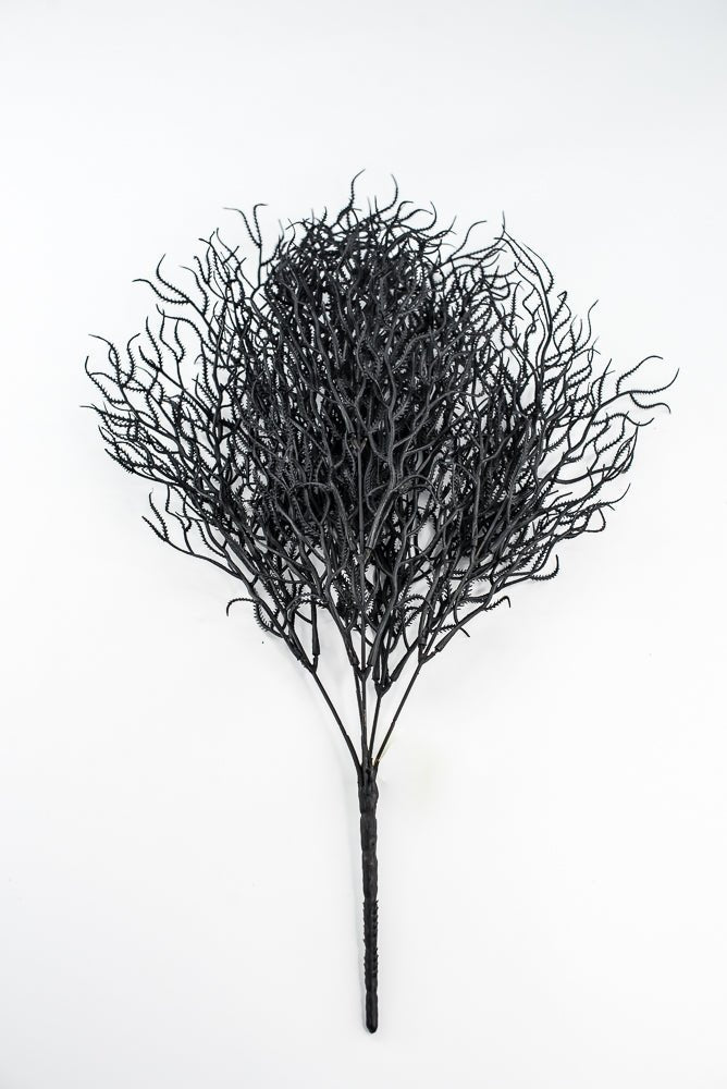 Black Cottonii Seaweed Bush - Greenery Market57097BK