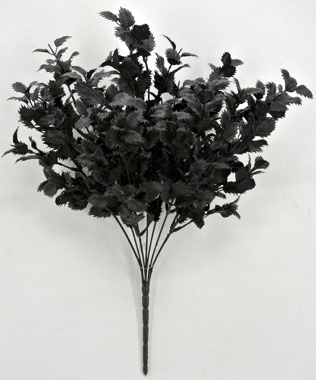 Black greenery leaves bush - Greenery Market84477