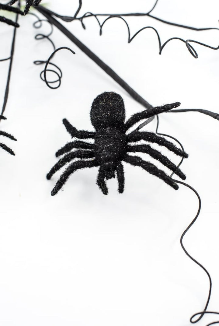 Black Spider Spray - Greenery Market56800BK