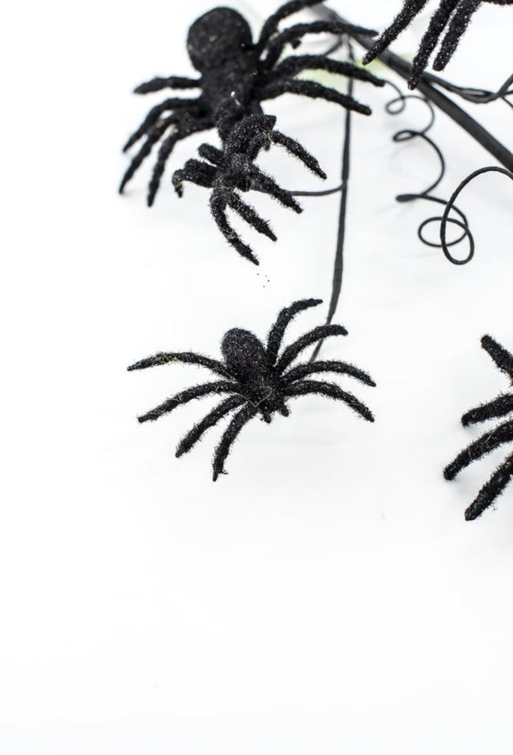 Black Spider Spray - Greenery Market56800BK