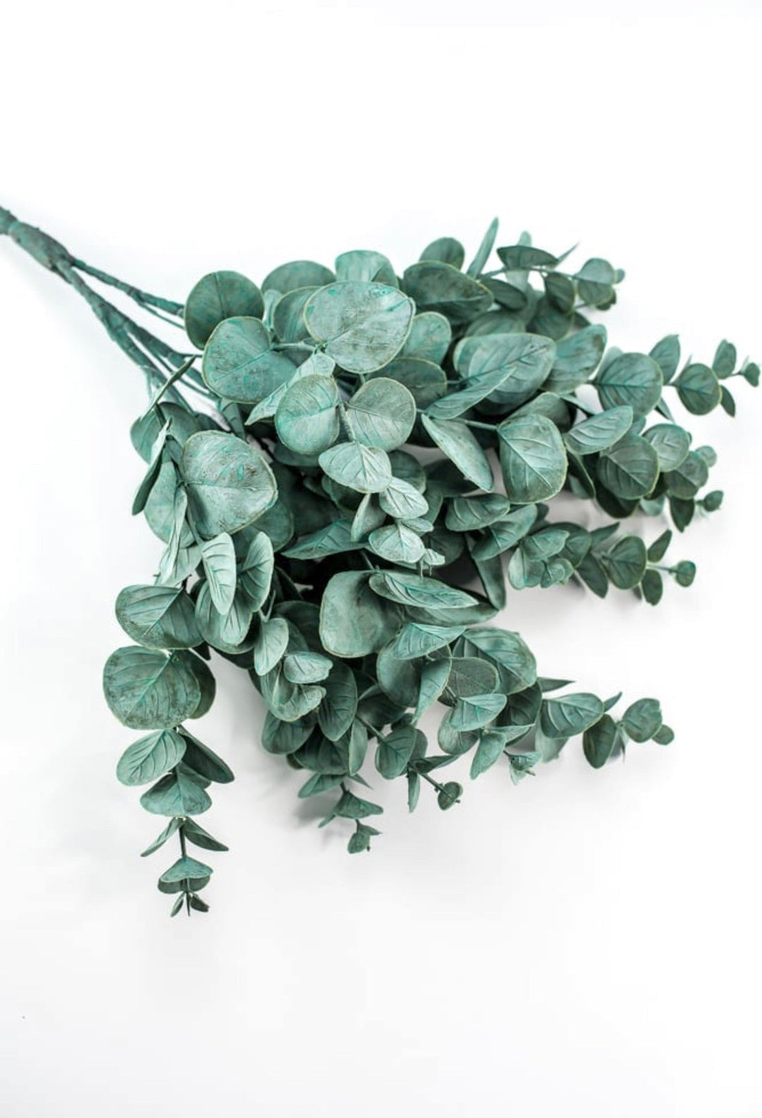 Blue green Eucalyptus Greenery bush - Greenery MarketFG637534