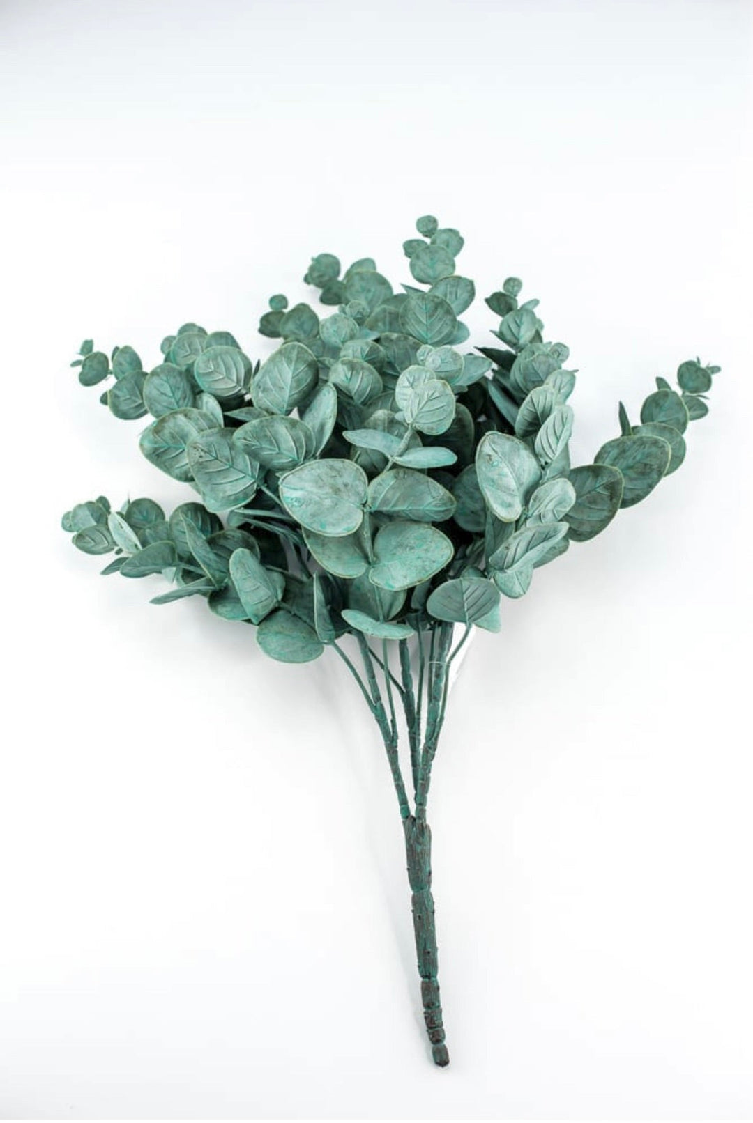 Blue green Eucalyptus Greenery bush - Greenery MarketFG637534