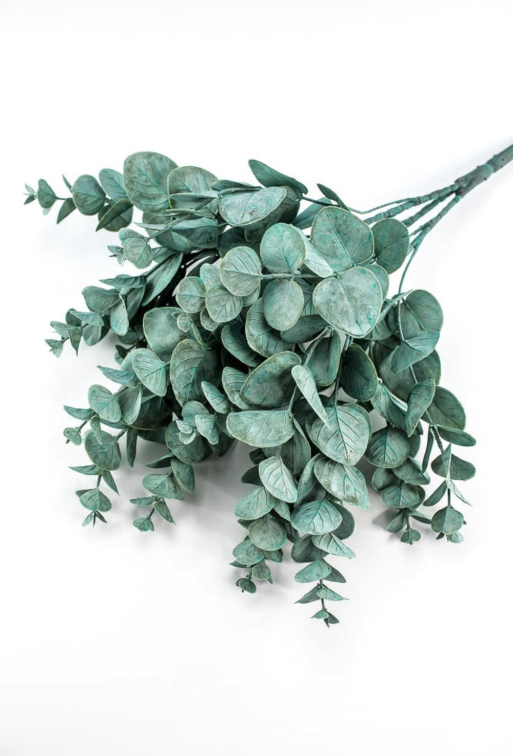 Blue green Eucalyptus Greenery bush - Greenery MarketFG637534