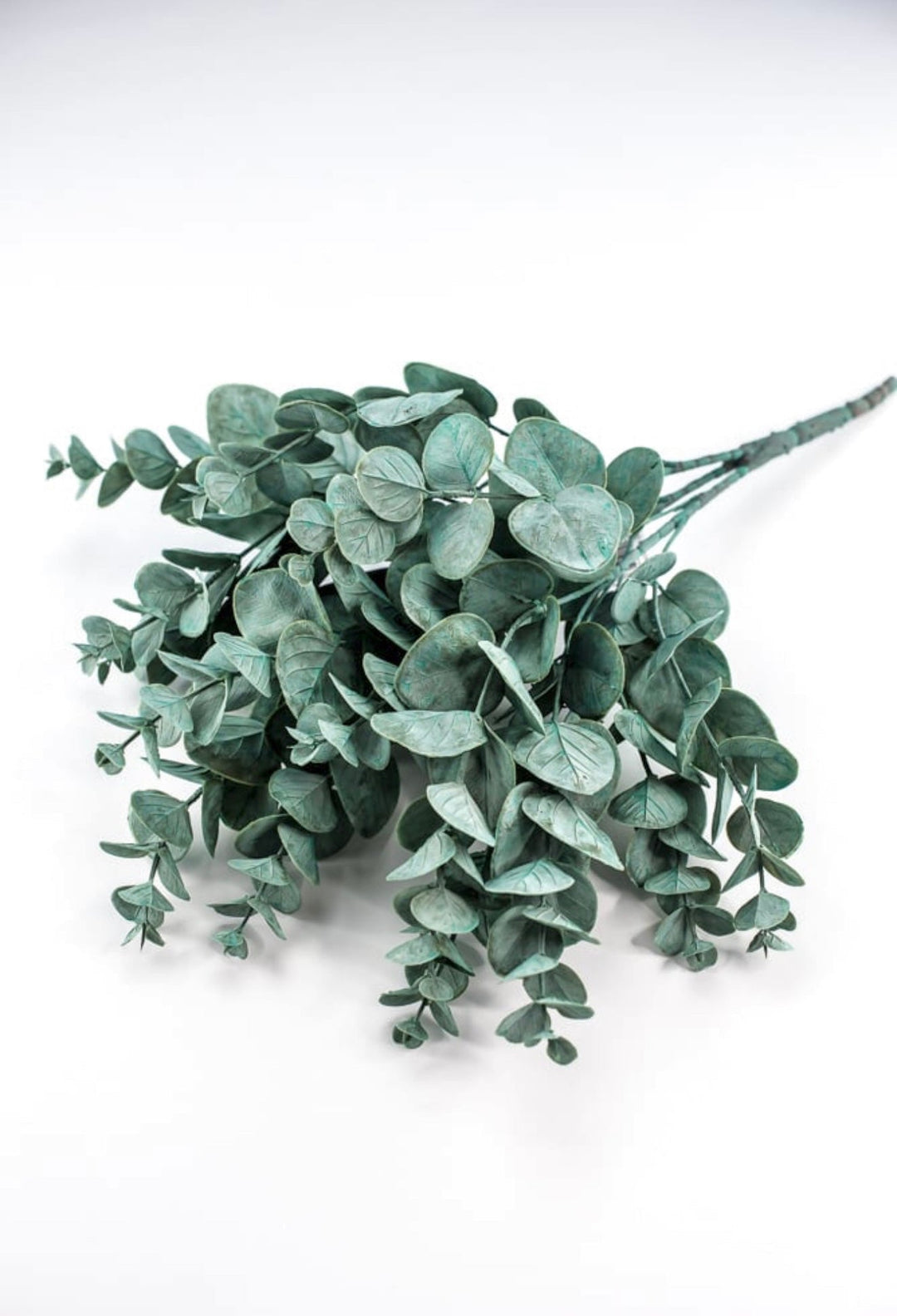 Blue green Eucalyptus Greenery bush - Greenery MarketFG637534