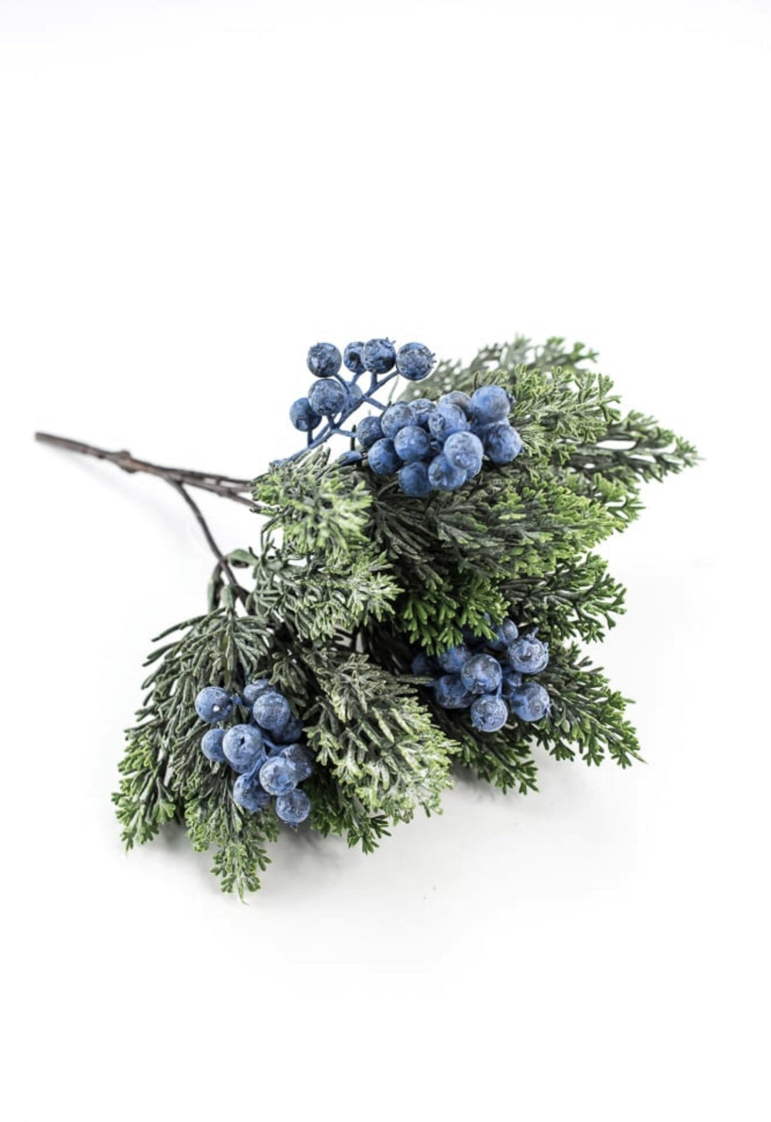Blueberry and cedar bush - Greenery MarketXd649 - BG