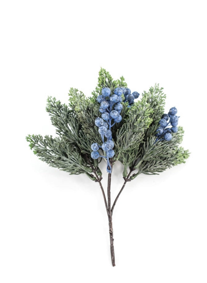 Blueberry and cedar bush - Greenery MarketXd649 - BG