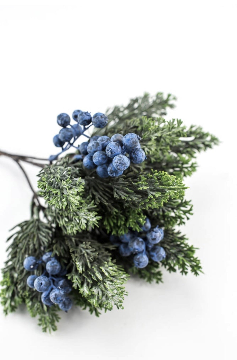 Blueberry and cedar bush - Greenery MarketXd649 - BG