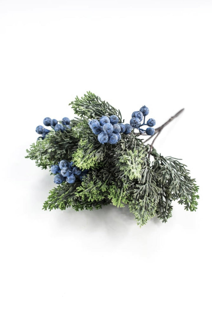 Blueberry and cedar bush - Greenery MarketXd649 - BG