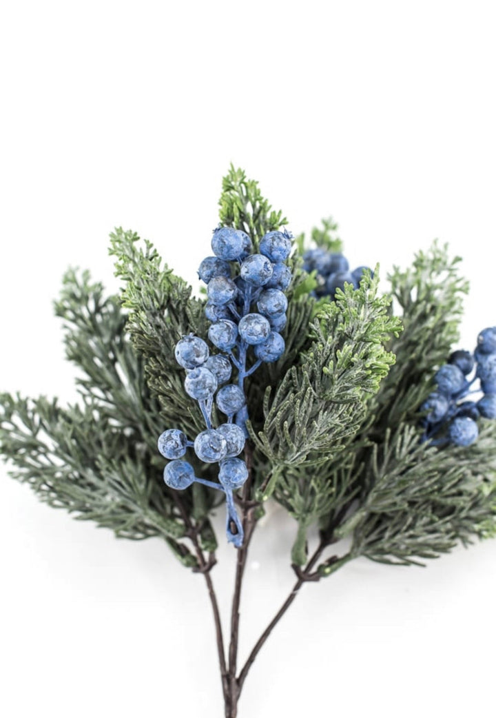 Blueberry and cedar bush - Greenery MarketXd649 - BG