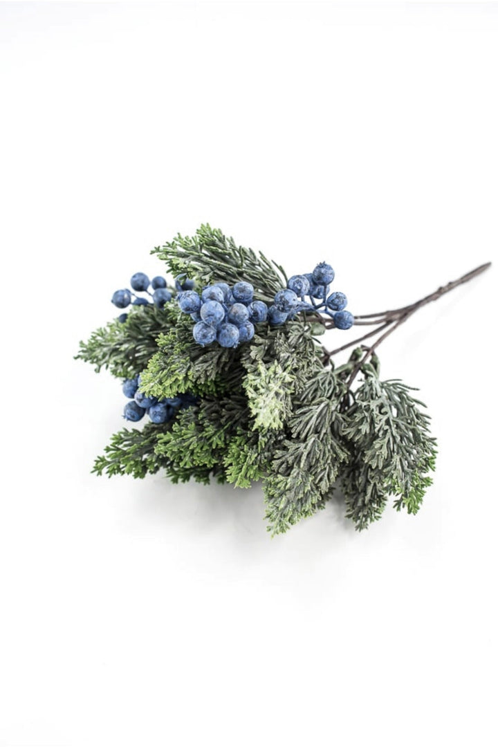 Blueberry and cedar bush - Greenery MarketXd649 - BG