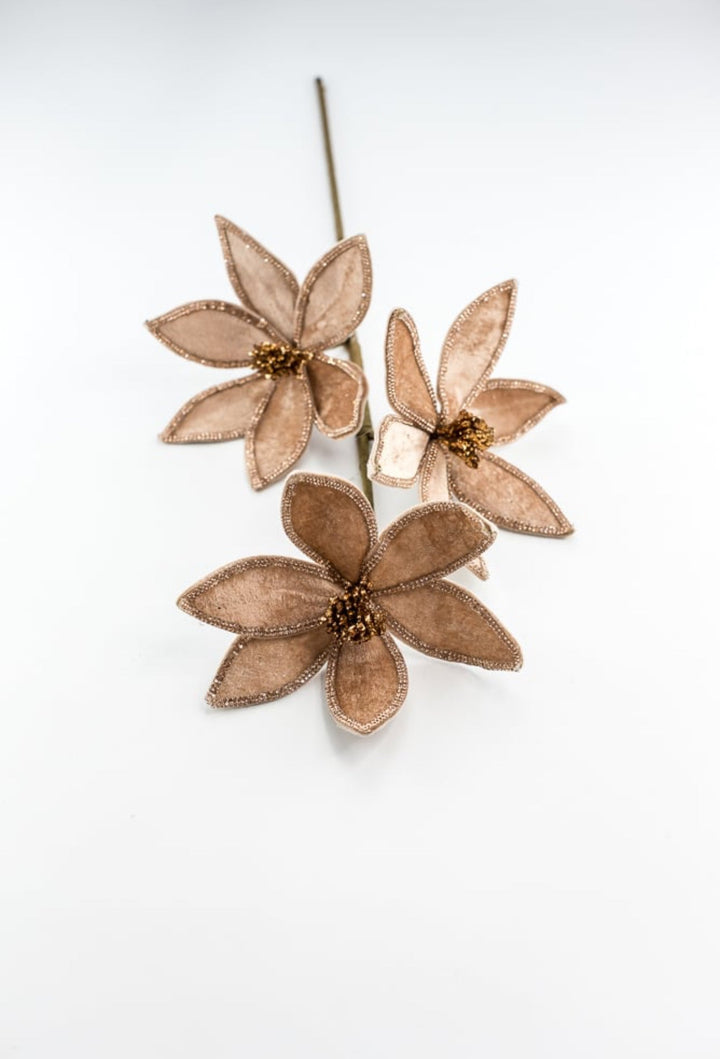 Brown poinsettia spray - Greenery MarketArtificial Flora235625