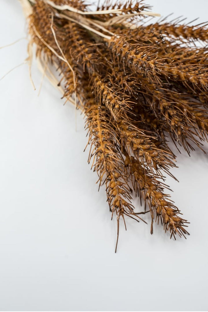 Brown wheat grass bush - Greenery MarketArtificial Flora27902