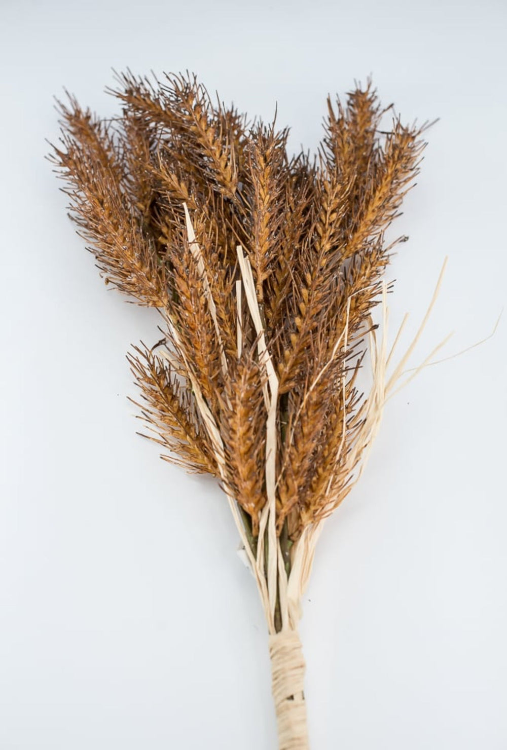 Brown wheat grass bush - Greenery MarketArtificial Flora27902