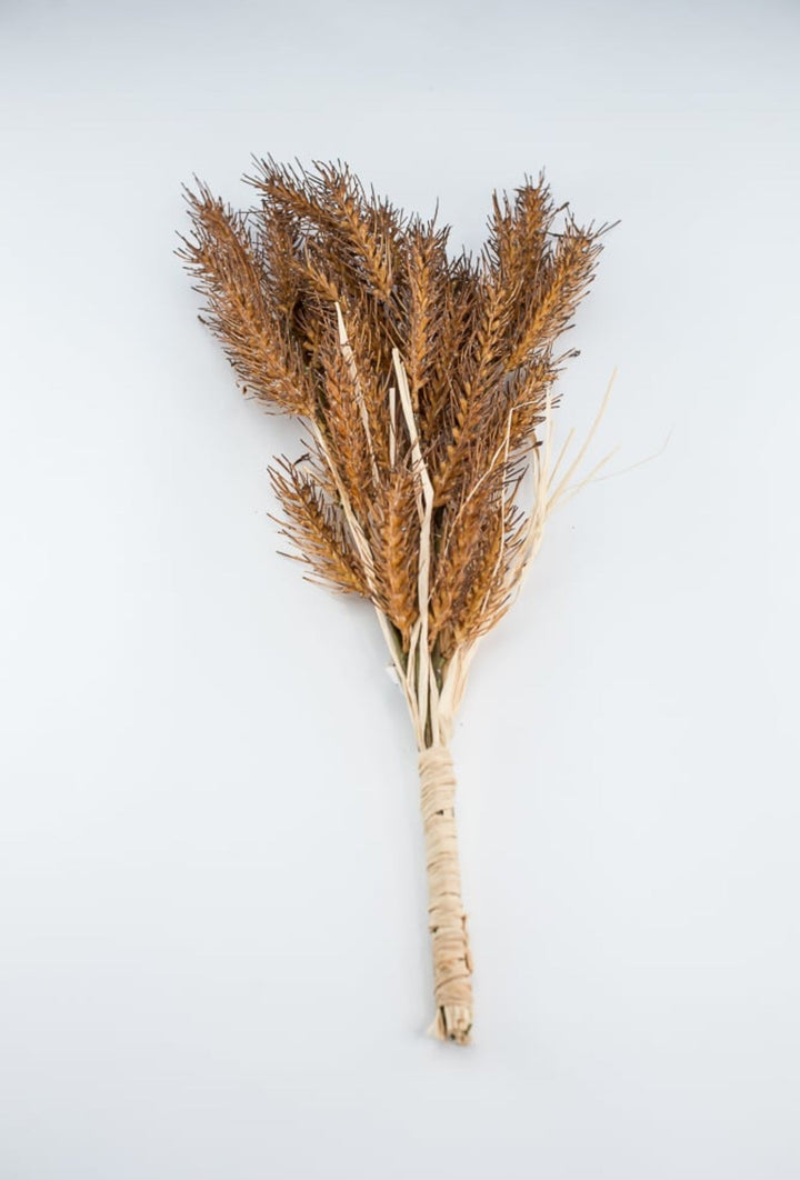 Brown wheat grass bush - Greenery MarketArtificial Flora27902