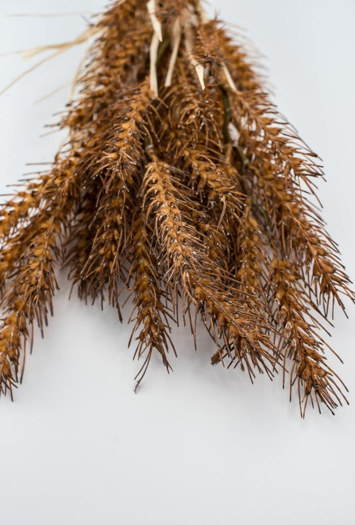 Brown wheat grass bush - Greenery MarketArtificial Flora27902