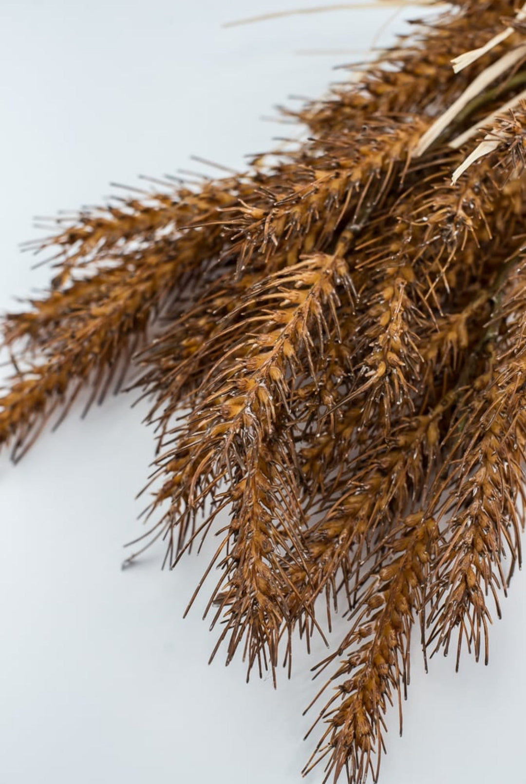 Brown wheat grass bush - Greenery MarketArtificial Flora27902