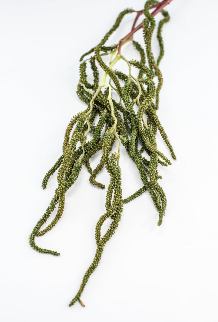 Brunch Spray - Greenery Market210823