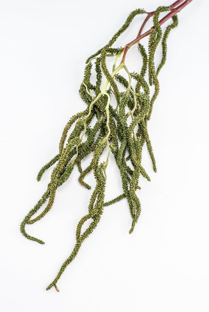 Brunch Spray - Greenery Market210823