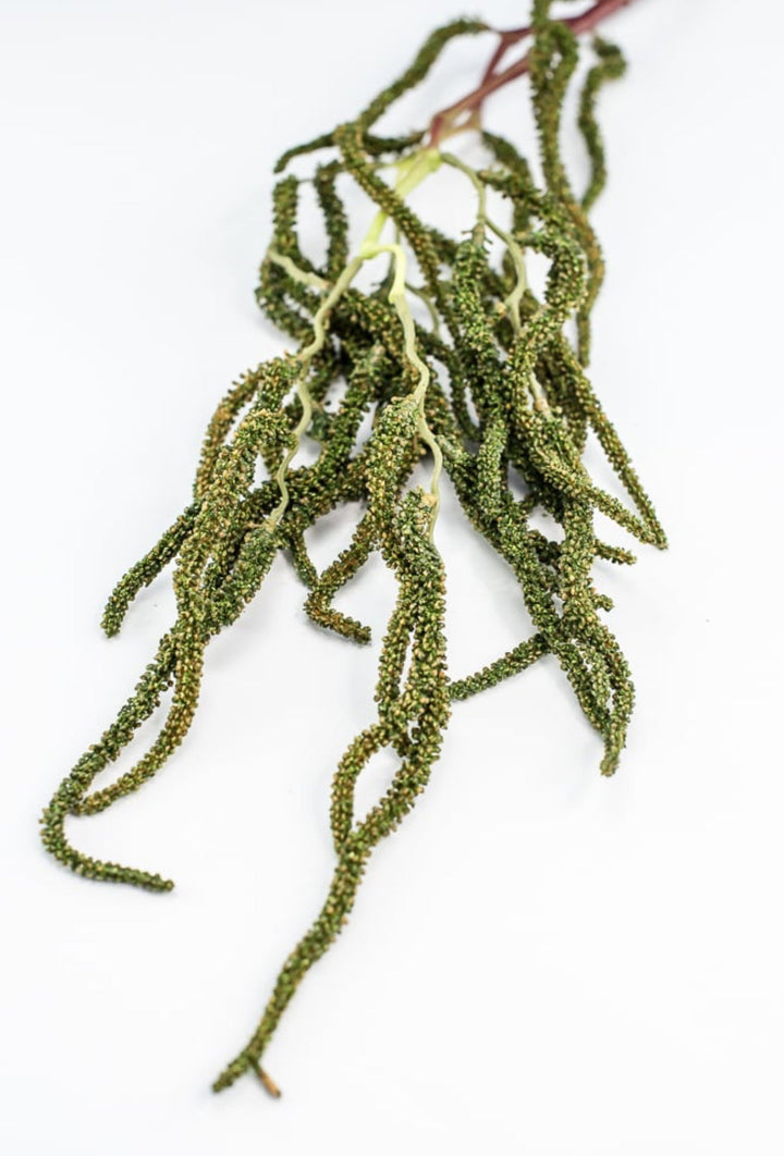 Brunch Spray - Greenery Market210823