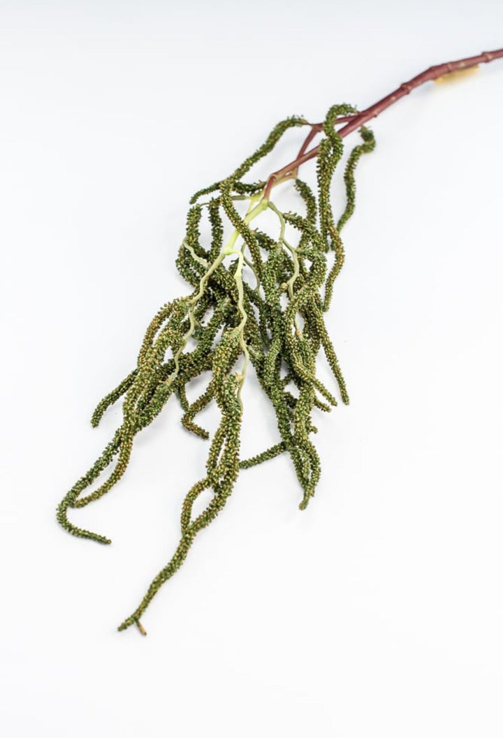 Brunch Spray - Greenery Market210823