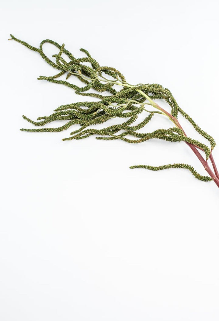 Brunch Spray - Greenery Market210823