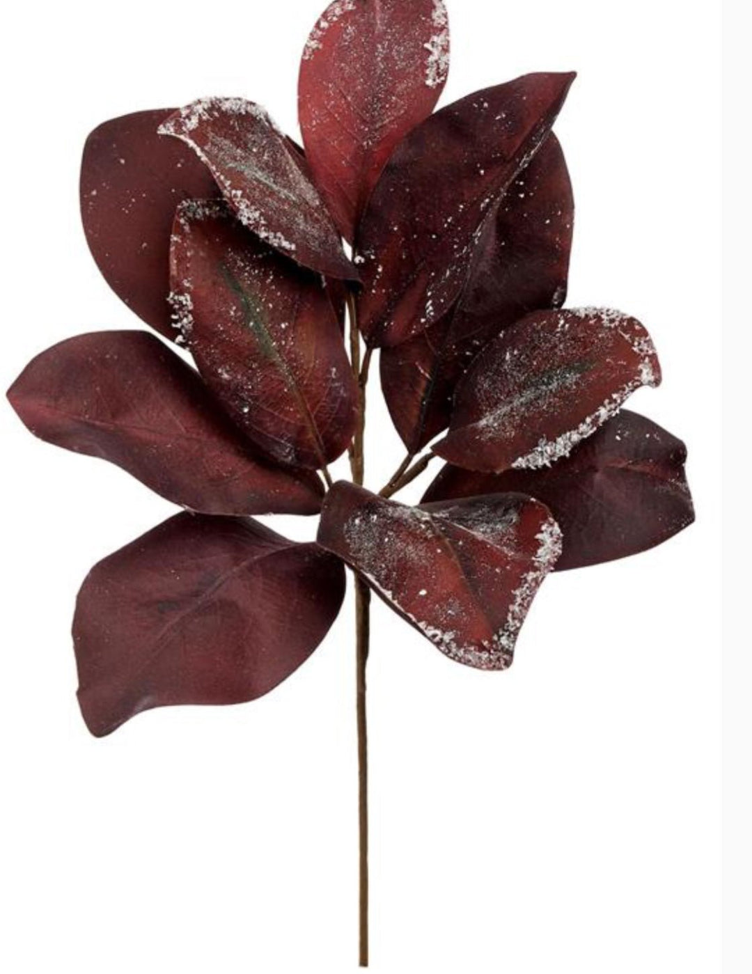 Burgandy Frosted Magnolia Leaves Spray - Greenery MarketgreeneryFl6638 - BU