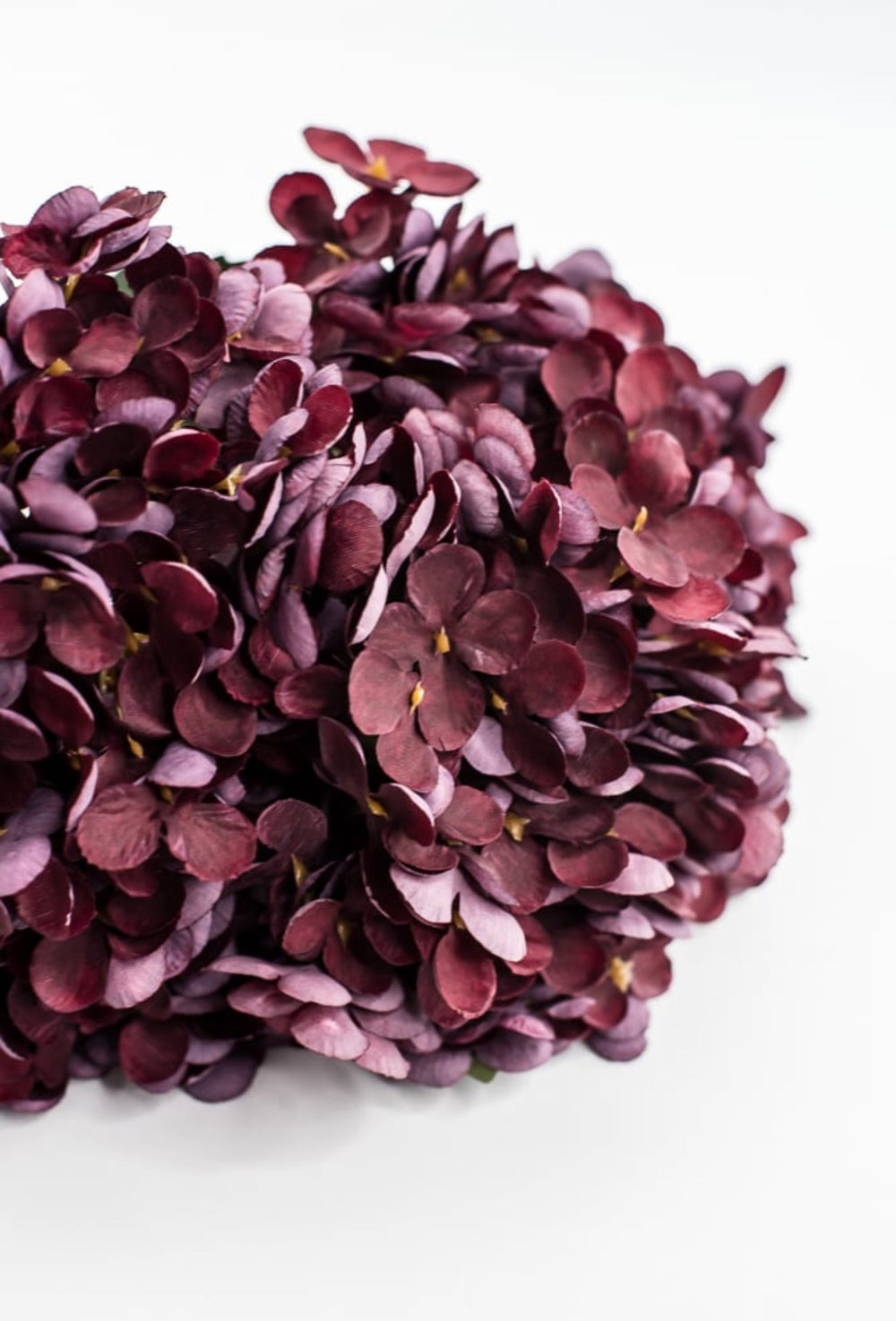 Burgundy Hydrangea Bush - Greenery Market57328BG