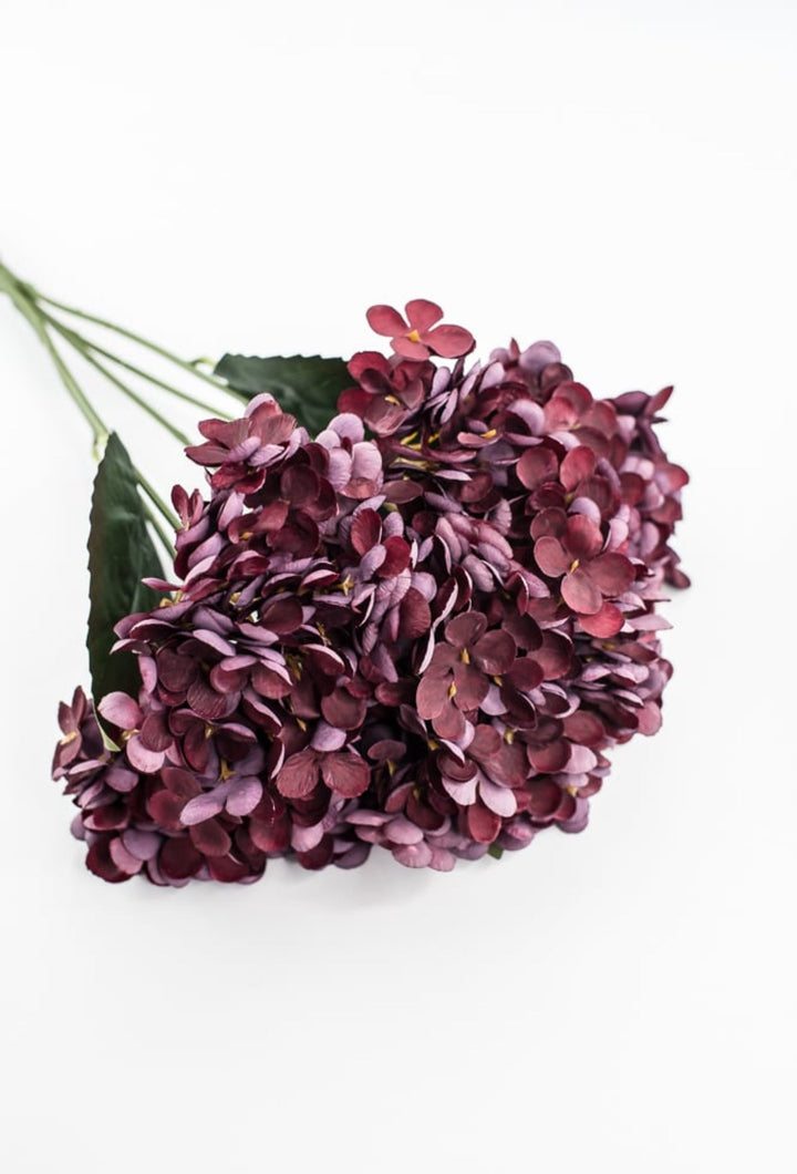 Burgundy Hydrangea Bush - Greenery Market57328BG