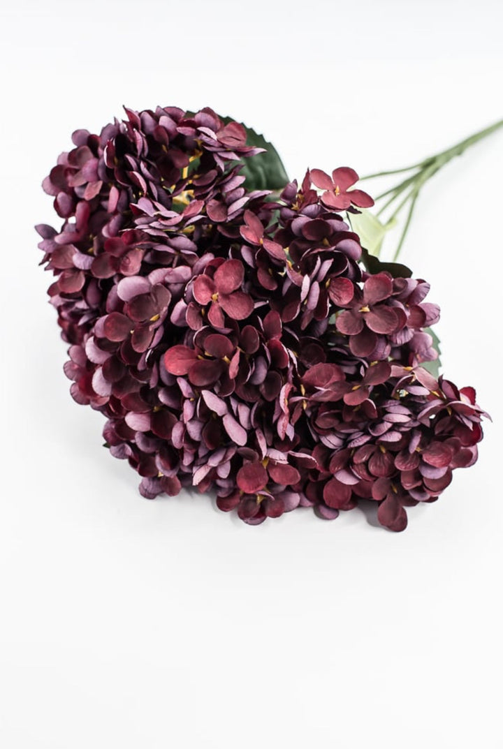 Burgundy Hydrangea Bush - Greenery Market57328BG