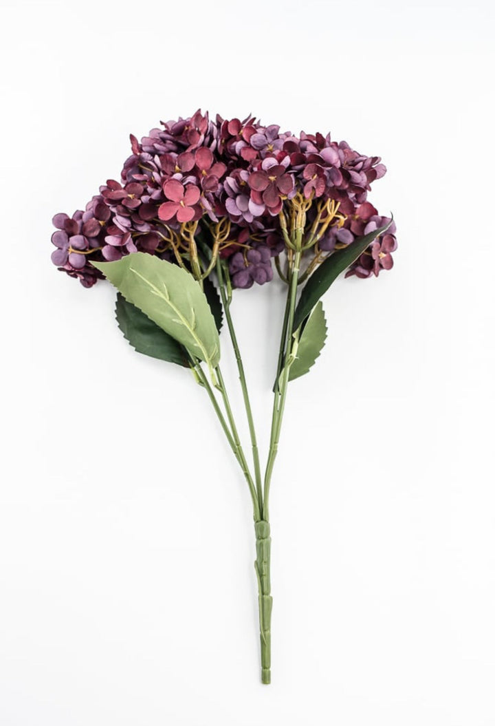 Burgundy Hydrangea Bush - Greenery Market57328BG